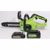 Электропила аккумуляторная Greenworks G24CS25K4
