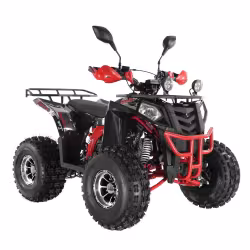 Комплект запчастей для сборки детского квадроцикла Wels Thunder EVO 125 X, черный