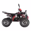 Комплект запчастей для сборки детского квадроцикла Wels Thunder EVO 125 X, черный