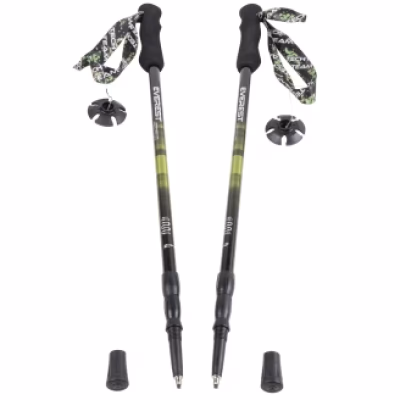 Палки для скандинавской ходьбы телескопические Tech Team Everest, алюминий (105-135)