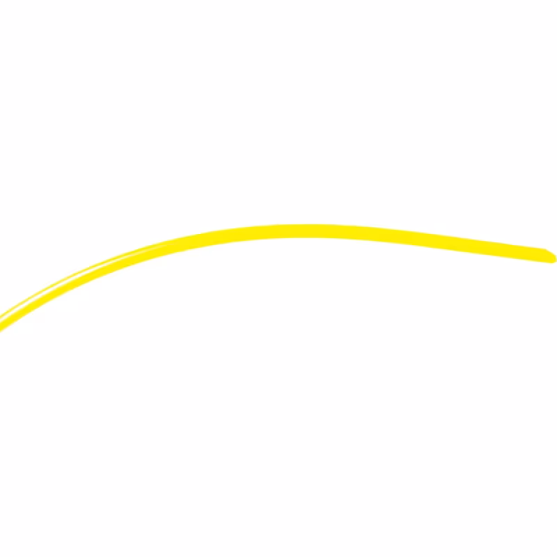 Корд триммерный Champion Round C5001, круглый, 1,6мм*15м