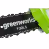 Высоторез аккумуляторный Greeworks G24PS20