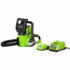 Электропила аккумуляторная GreenWorks G24CS25K2