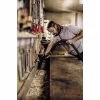 Пылесос строительный Karcher WD 3 P V-17/4/20