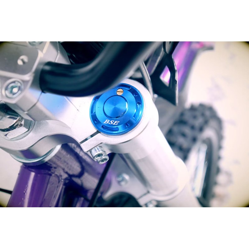 Питбайк BSE MX 125 (015) Purple Dragon