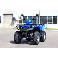 Квадроцикл Irbis ATV200 LUX, синий