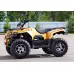 Квадроцикл Irbis ATV200 LUX, желтый