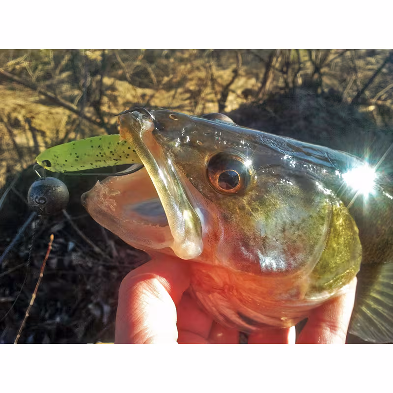 Силиконовая приманка Lucky John 3D Series Makora Shad Tail 4.0in, цвет 002, 6шт