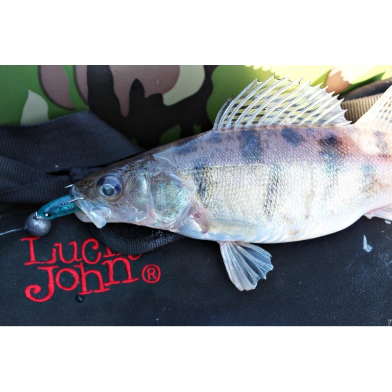 Силиконовая приманка Lucky John 3D Series Makora Split Tail 6.0in, цвет 006, 3шт