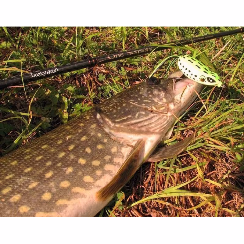 Силиконовая приманка Lucky John 3D Series Frog 2.0in, цвет 003, 1шт.