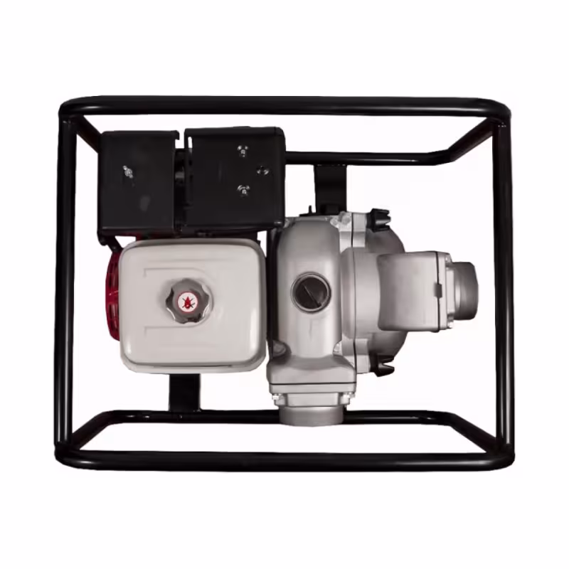 Мотопомпа DDE PTR100H