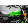 Мопед C.MOTO Stingray, зеленый