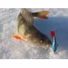 Балансир Rapala Jigging Rap WH5 STHB 5см, 9гр