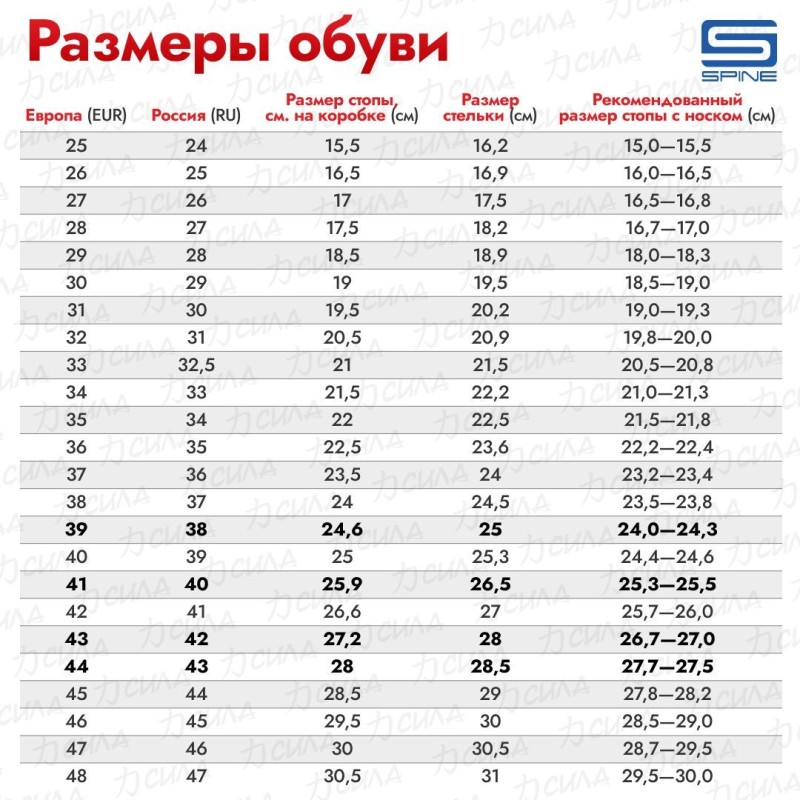 Ботинки лыжные Spine Smart 357 NNN, черный, размер 37