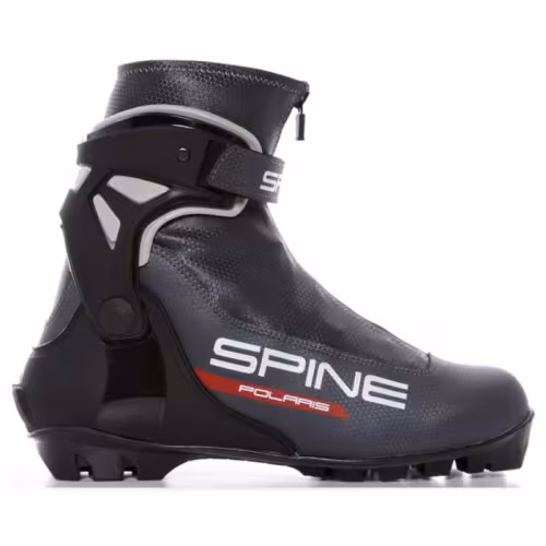 Ботинки лыжные Spine Polaris 85-22 NNN, черный, размер 41