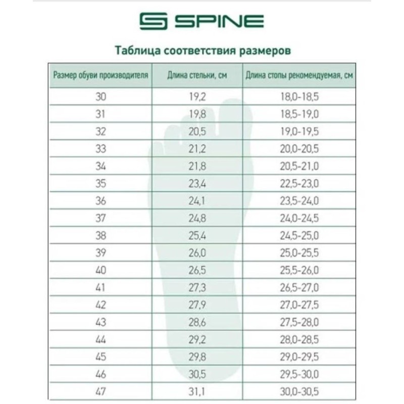 Ботинки лыжные Spine Basic 242 NNN, синий/черный, размер 37