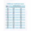 Лыжи беговые STC Brados XT Tour Blue (170)
