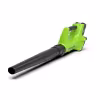 Воздуходувка аккумуляторная GreenWorks G24AB