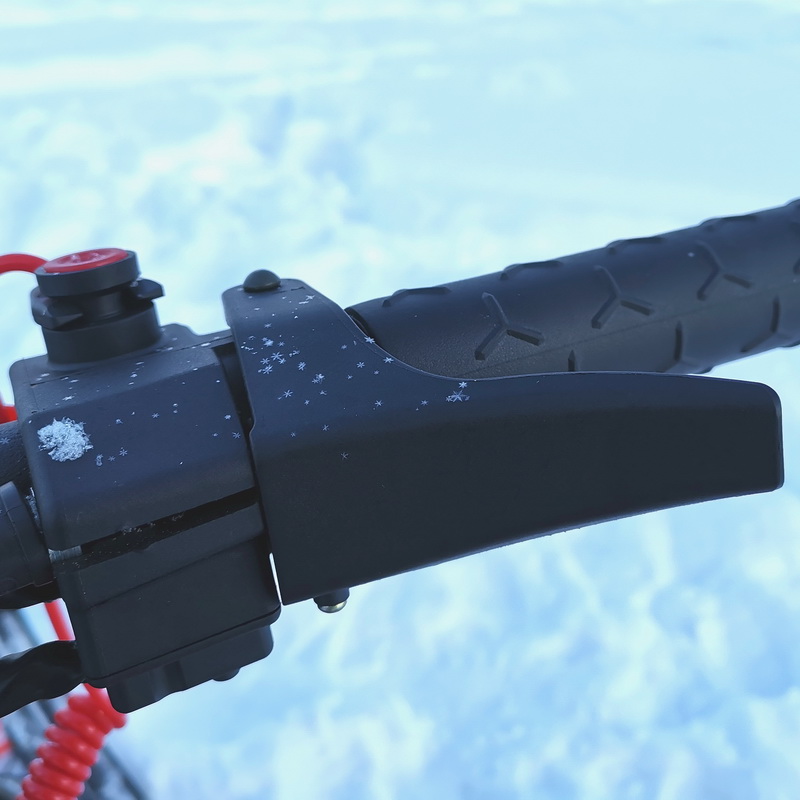 Снегоход Irbis SF200L Long 12 л.с., красный 