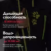 Комбинезон женский Dragonfly Extreme Woman Black Cat 2024, мембрана DFTEX, черный, размер XS, 158 см