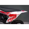 Питбайк SSSR CORE125e A 17/14 RED Cat Mask