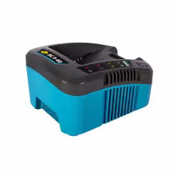 Зарядное устройство DDE BlueTech BC 5-40, 40В