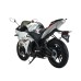 Мотоцикл Motoland R1 300 (175FMM.25лс,эл.старт,,баланс.вал,160кг,выс.по седлу 810.)