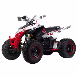 Комплект запчастей для сборки квадроцикла Motoland VOX 250 Rally, черный/белый