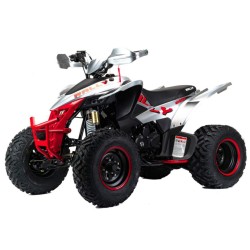 Комплект запчастей для сборки квадроцикла Motoland VOX 250 Rally, черный/белый