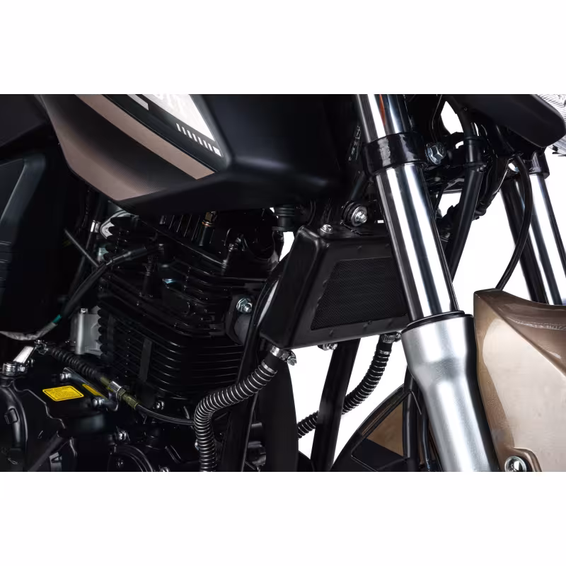 Мотоцикл дорожный Motoland Bandit 300, коричневый