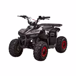 Комплект запчастей для сборки детского квадроцикла Yacota Raposa 110, черный