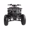 Комплект запчастей для сборки квадроцикла Wels Thunder 150, черный
