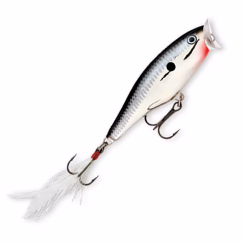 Воблер плавающий Rapala Skitter Pop 05, 5 см, 7 гр, цвет CH