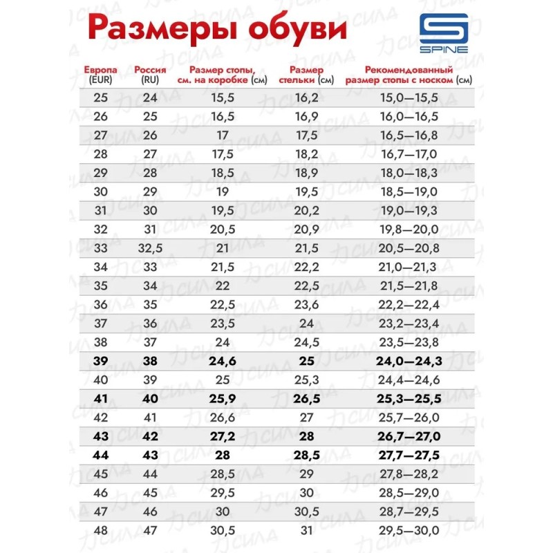 Ботинки лыжные Spine Comfort 83/7, NNN, серый/черный, размер 48