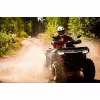 Квадроцикл CFMOTO CForce 1000 EPS LTD, серый