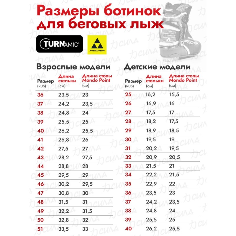 Ботинки лыжные Fischer RC1 Skate NNN, черный, размер 38