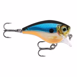 Воблер плавающий Rapala BX Brat 06 BGH, 50 мм, 11 г.