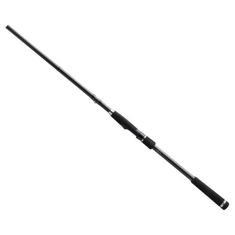 Спиннинг 13 Fishing Fate Black - 10' H Spin rod, 305 см, тест 20-80 г