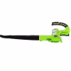 Воздуходувка аккумуляторная Greenworks G24BL