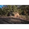 Квадроцикл CFMOTO CForce 600 S EPS, черный