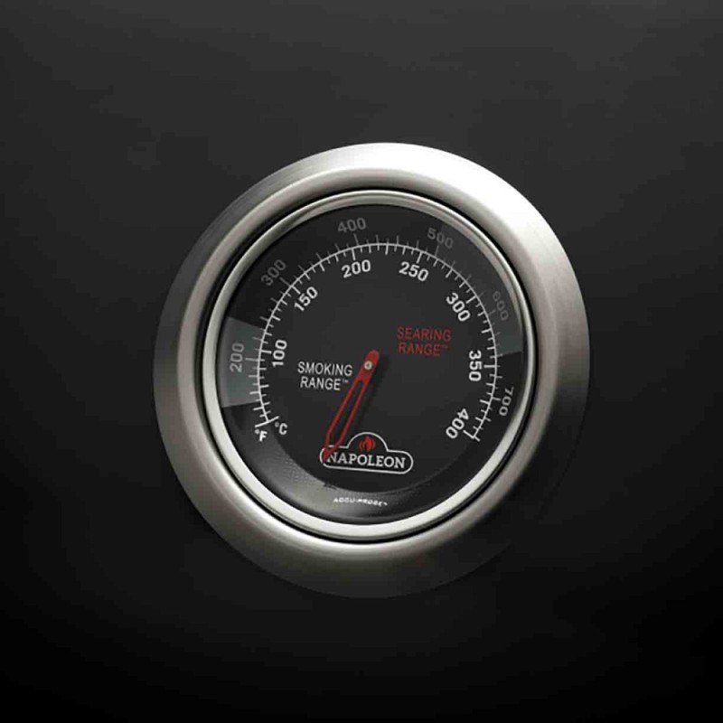 Гриль газовый Napoleon Legend 365