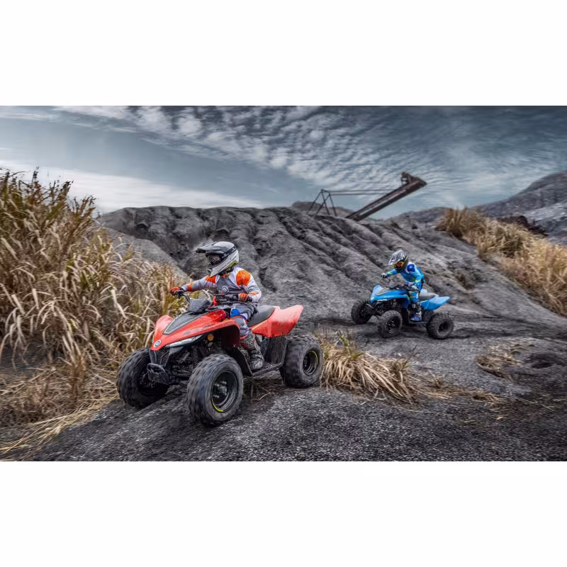 Квадроцикл детский CFMOTO CForce 110 EFI, красный