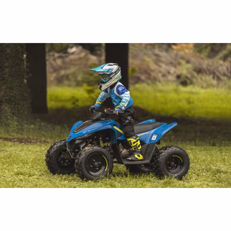 Квадроцикл детский CFMOTO CForce 110 EFI, красный