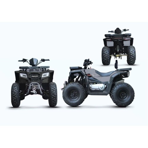 Комплект запчастей для сборки квадроцикла Progasi Race Jumper MaxPower 200 Nardo Grey, серый