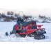 Снегоход Irbis Tungus SK500L, красный