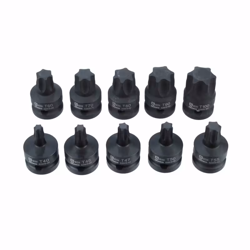 Набор бит Garwin 626615-SET10