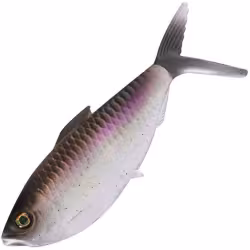 Приманка силиконовая 13 Fishing The Dine Swimbait 4,25