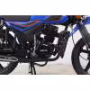 Мотоцикл дорожный Roliz Optimus Max