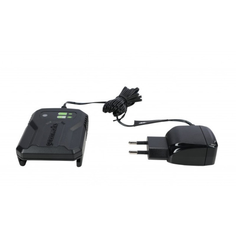 Электропила-сучкорез аккумуляторная Greenworks G24MCS10