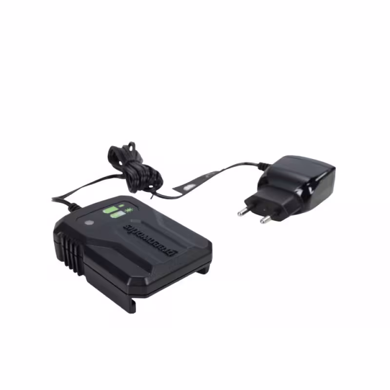 Электропила-сучкорез аккумуляторная Greenworks G24MCS10